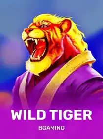 Wild Tiger, Slot von BGaming bei Dazard